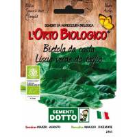 Smooth Green Chard Seeds - BIO Garden Seeds by Sementi Dotto