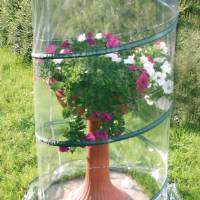 Verdemax - Pop-Up Anthurium Greenhouse - 70x110CM