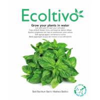 Classic Italian Basil - Ecoltivo
