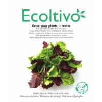 Mixed Lettuces Pack - Ecoltivo