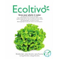 Curly Blonde Lettuce - Ecoltivo