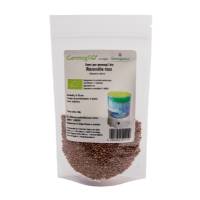 Germogliamo - Pink radish