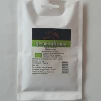 Germogliamo - Red Cabbage