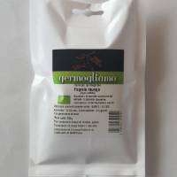 Germogliamo - Mung bean