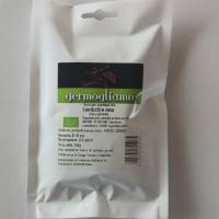 Germogliamo - Pink Lentils