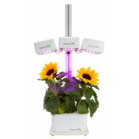 Hydroponic Smart Garden - 3 Lamps - 4 Plants - GreenDea