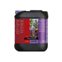 Atami - B'Cuzz COCCO Bloom Stimulator 5L