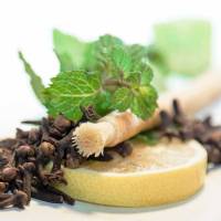 Siwak - Natural toothbrush