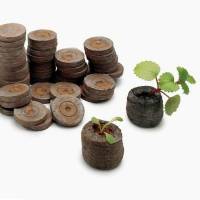 Mini Jiffy 3cm Peat Discs - box 2000pcs