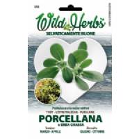 Wild Herbs - Fat Grass Seeds - Sem. Dotto