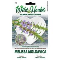 Wild Herbs - Melissa Moldavica Seeds - Sem. Dotto