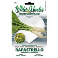 Wild Herbs - Wild Radish Seeds - Sem. Dotto