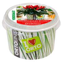 Cultivation Kit ORTOLINO - Red Chili Pepper by Verdemax