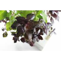 Ecoltivo - Mini hydroponic system