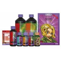 Atami - Micro Kit B'cuzz Coco