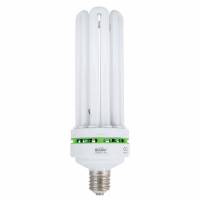 Compact Fluo 200W 2700K - EnviroGro