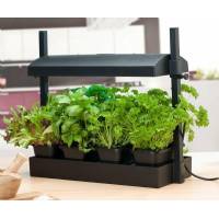Micro Grow Light Garden