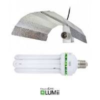 Kit CFL Grow - EnviroGro BY Lumii - Compact FLUO 200W