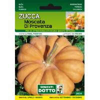 Sementi da Orto - Pumpkin Muscat of Provence - Sem. Dotto