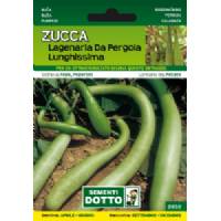 Sementi da Orto - Lageriana pumpkin - Sem. Dotto