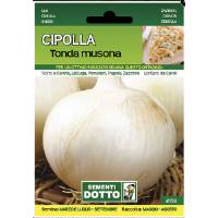 Sementi da Orto - Round Onion Musona - Sem. Dotto