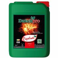 DutchPro - Explode 20L