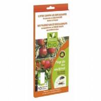 Antika Off. Botanika - Adhesive chromotropic trap - 10 pieces
