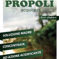 Aqueous Propolis 1L - Idroluppolo