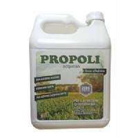 Aqueous Propolis 5L - Idroluppolo