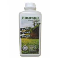 Oil Propolis 1L - Idroluppolo