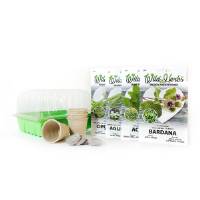Wild herbs kit - Seeds, Jiffy, Pots and greenhouse