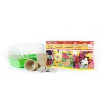 Edible Flowers kit - Seeds, Jiffy, Pots and greenhouse