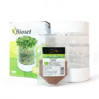 Sprouts Kit - seeds + sprouter