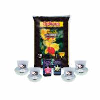 Orchid Kit - Pots, Nutrients and Soil