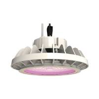 HPLED 200W Full Spectrum Lamp - Secret Jardin