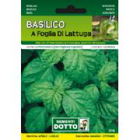 Vegetable seeds - Lettuce leaf basil - Sem. Dotto