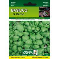 Vegetable Seeds - Basil San Remo - Sem. Dotto