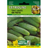 Vegetable Seeds - Cucumber Vert Petit de Paris - Sem. Dotto