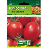 Vegetable Seeds - Rio Grande Tomato - Sem. Dotto