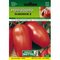 Vegetable Seeds - Tomato Scatolone 2 - Sem. Dotto