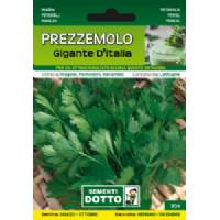 Vegetable Seeds - Giant Parsley of Italy - Sem. Dotto