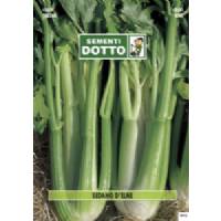 Vegetable Seeds - Celery D 'Elne - Sem. Dotto
