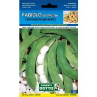 Vegetable Seeds - Spanish Bean Climbing Crown