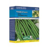 Vegetable Seeds - Xera Dwarf Green Bean