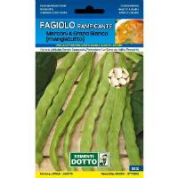 Vegetable Seeds - Dwarf Coral Green Bean