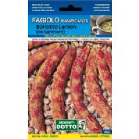 Vegetable Seeds - Climbing Lamon Borlotto Bean