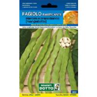 Vegetable seeds - Marconi green bean with climbing white grain