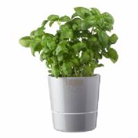 Herb Hydro Pot Large Grey