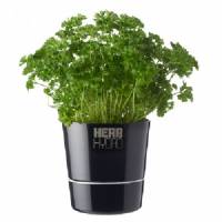 Herb Hydro Pot Large Black