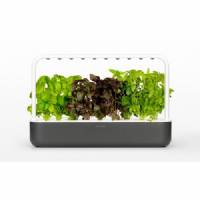 Smart Garden 9 - Dark Grey